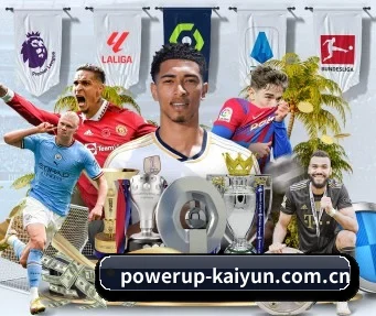 开云体育直播 APP
