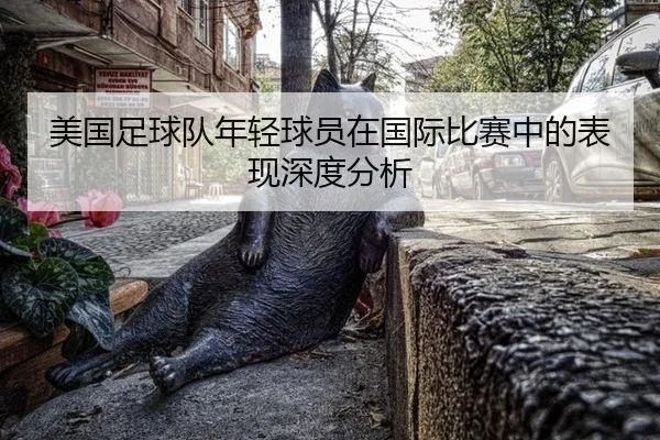 美国足球队年轻球员在国际比赛中的表现深度分析