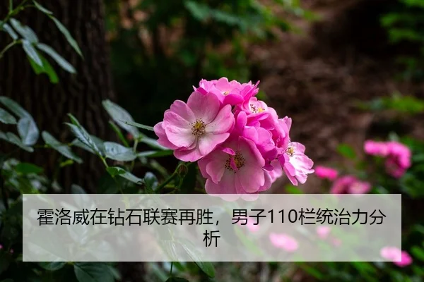 霍洛威在钻石联赛再胜，男子110栏统治力分析