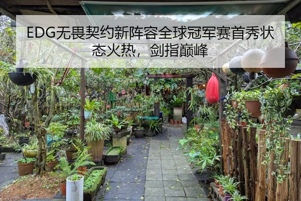 EDG无畏契约新阵容全球冠军赛首秀状态火热，剑指巅峰